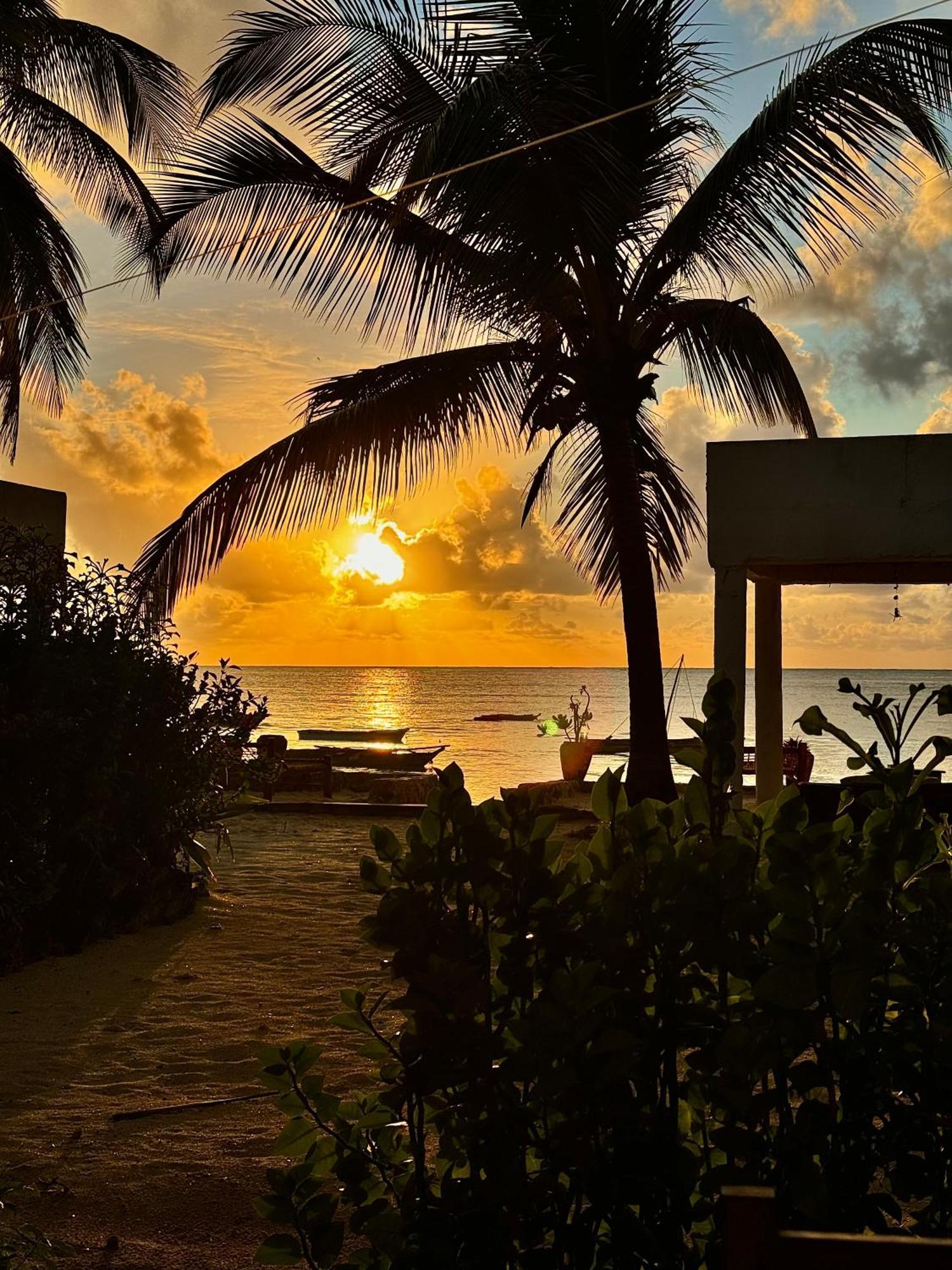 Mango Beach House Jambiani  Εξωτερικό φωτογραφία