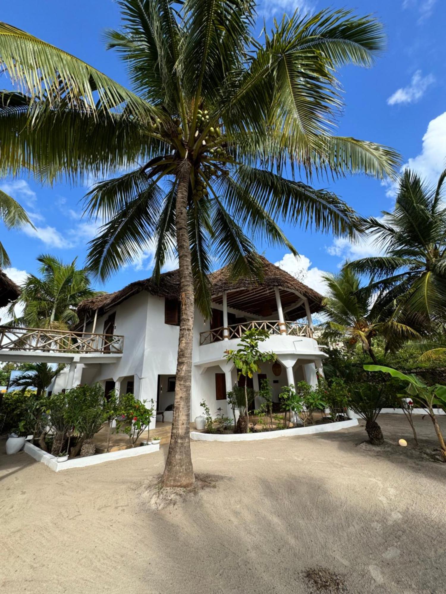 Mango Beach House Jambiani  Εξωτερικό φωτογραφία